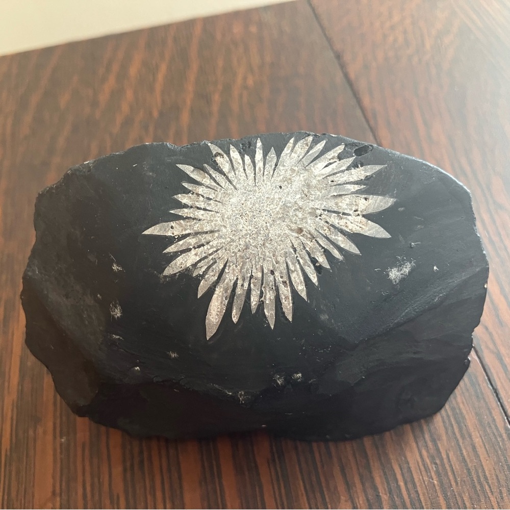 Chrysanthemum Stone 💎💎